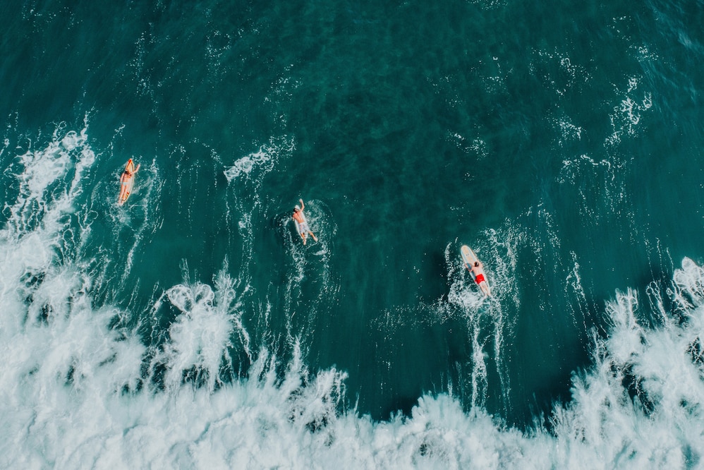 Surfers in the waves near a beach