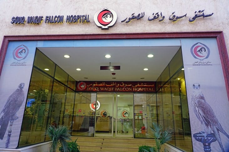 The falcon hospital in Doha