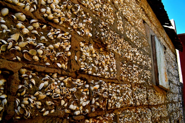 A clamshells wall on Fadiouth Island