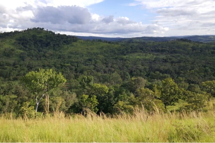 Fazao-Malfakassa National Park
