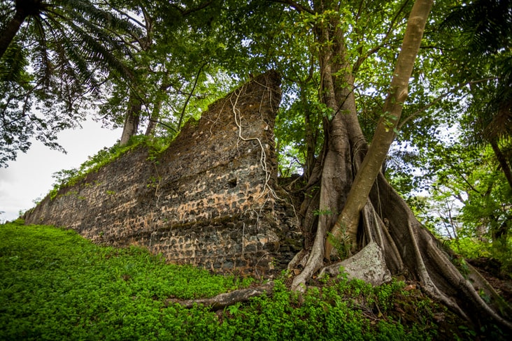 Fort ruins on Bunce Island