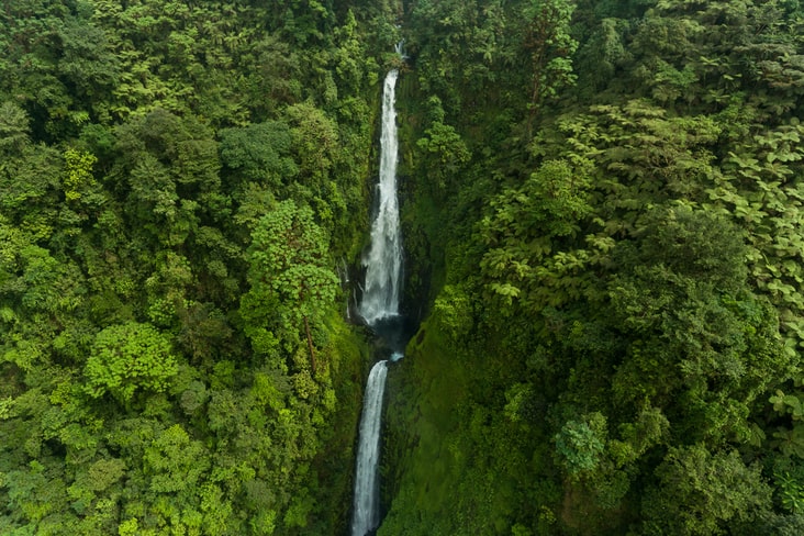 interesting facts about Equatorial Guinea rainforest