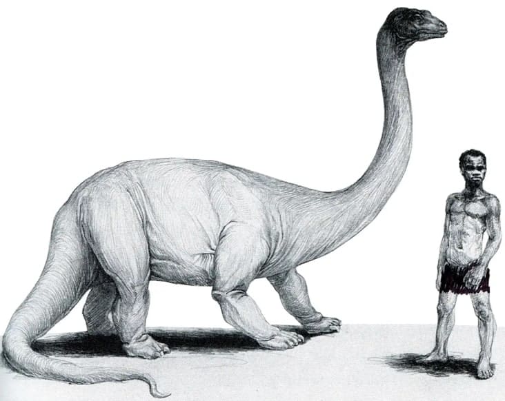 A sketch of the Mokele-mbembe  next to a man