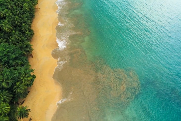 A drone shot of a beautiful beach with palm tress in São Tomé and Príncipe