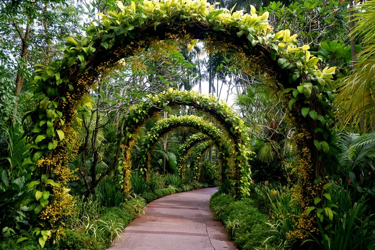 An archway of flowers and plants
