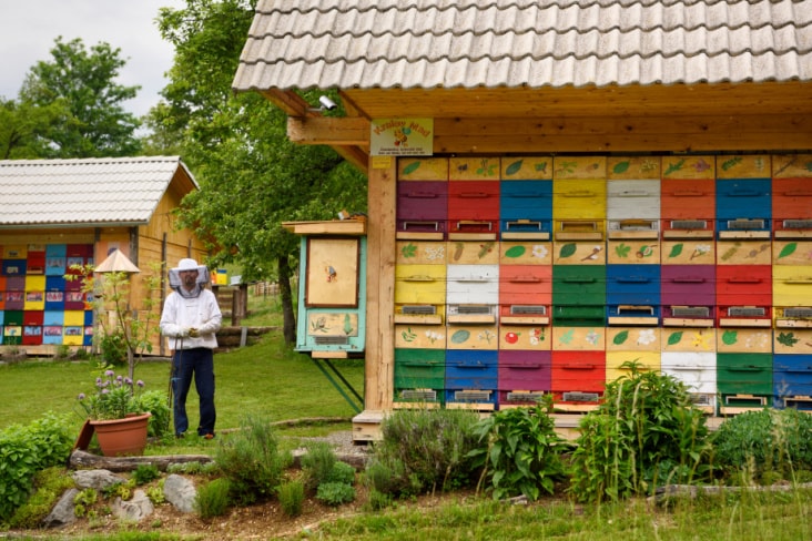 A beekeepers stands beside his colourful apiary