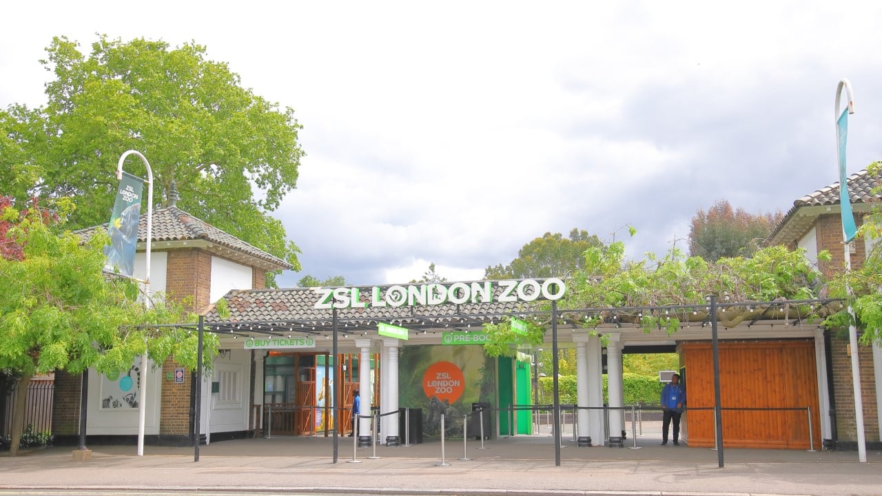london zoo