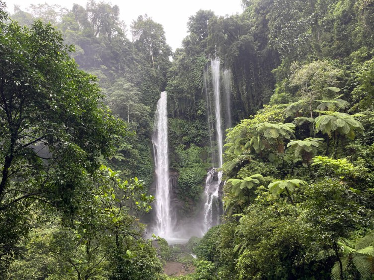 Tropical rainforest waterfall in Bali, Indonesia