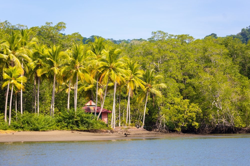 25 Interesting Facts About Costa Rica - The Facts Institute