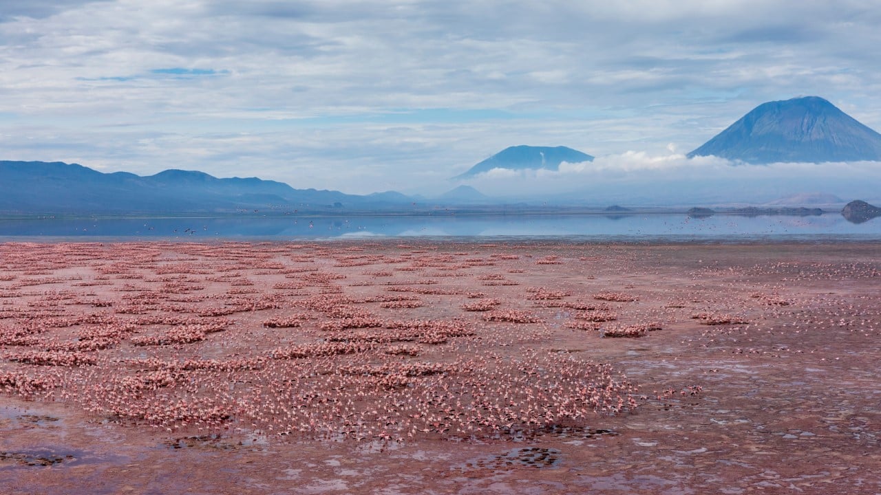 lake natron