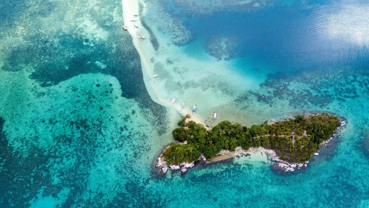 snake island
