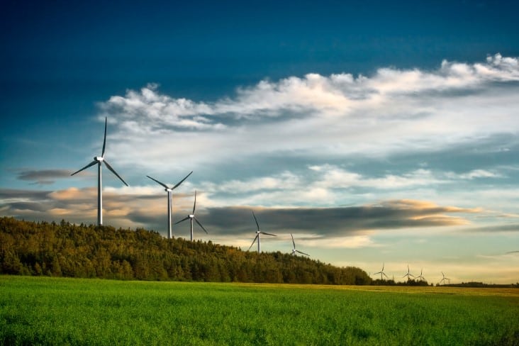 wind turbine farm canada