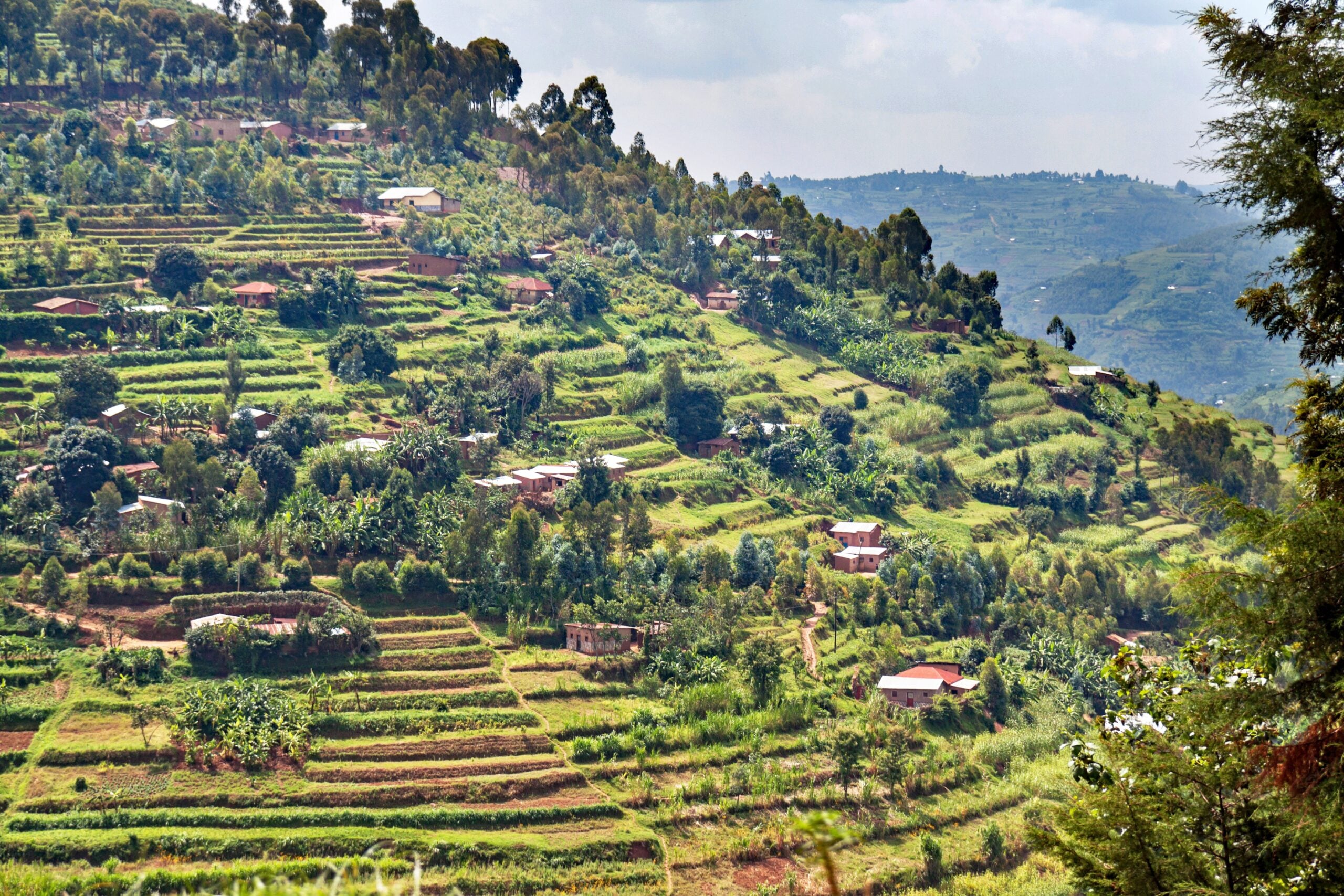 Rwanda hills