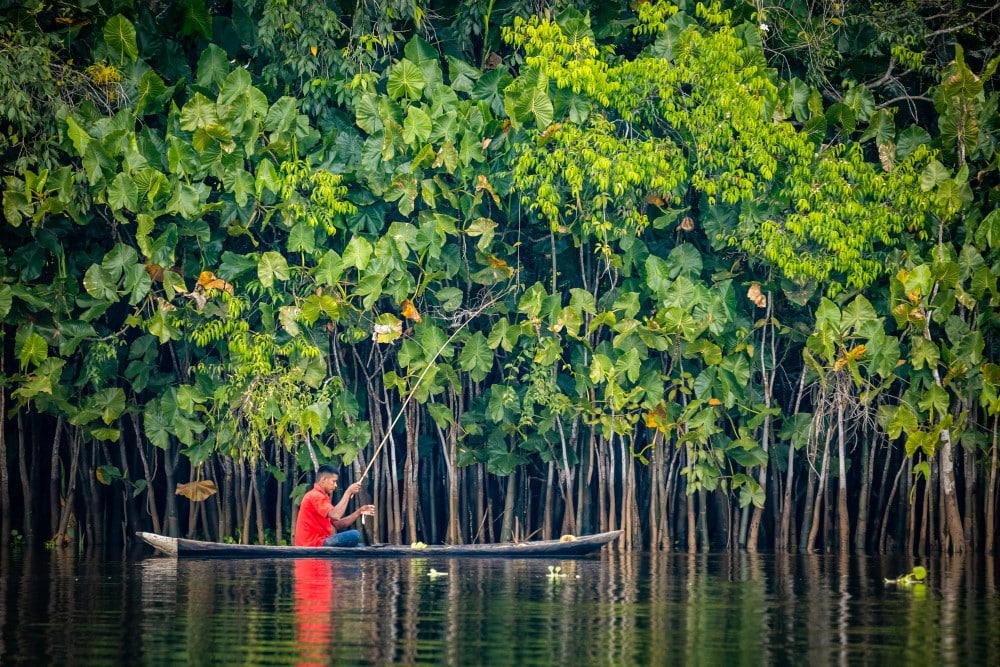 fascinating facts about venezuela orinoco river venezuela