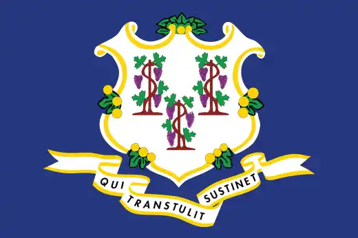 connecticut flag