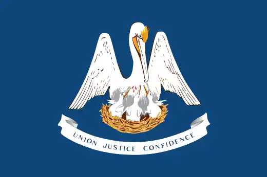 louisiana flag