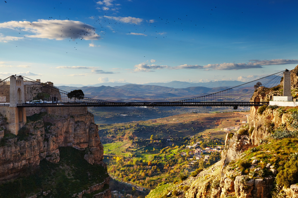 algeria is the largest country in africa