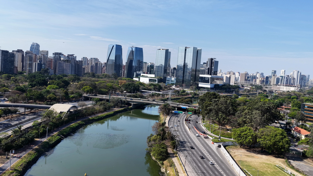 brazil is the largest country in south america