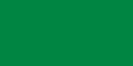 Green flag of Libya
