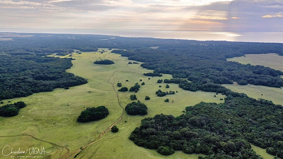 The plain of Blanco savanna and Gabonese forest, area of Nyonié in Gabon.