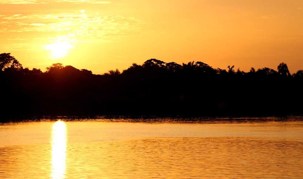 Gambia River