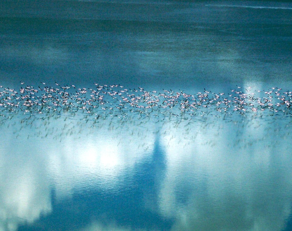 Makgadikgadi Pan, Botswana