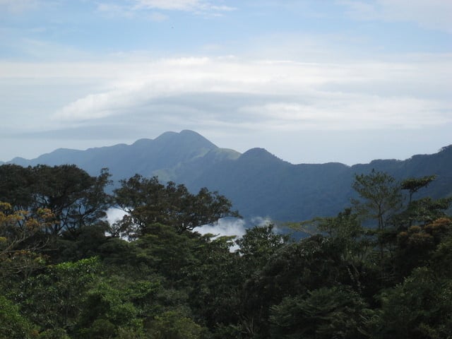 Nimba range, Guinea