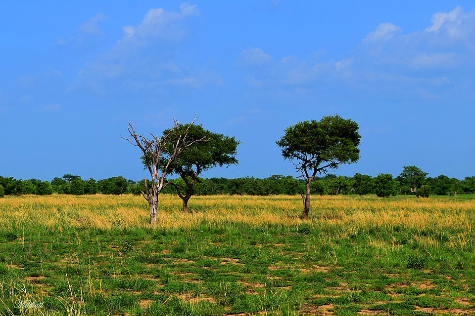 Pendjari National Park, Benin