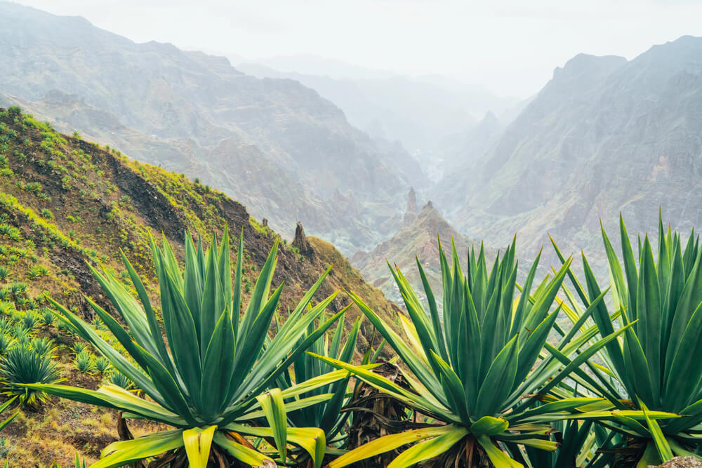 Volcanic terrain at Santo Antao island, Cabo Verde