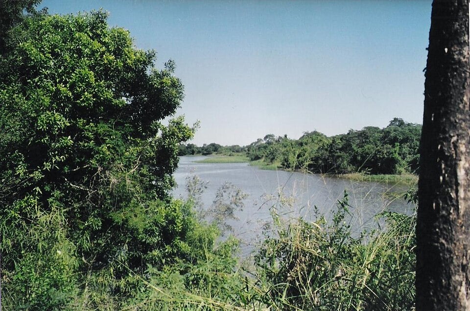 View of the Río Negro near Resistencia