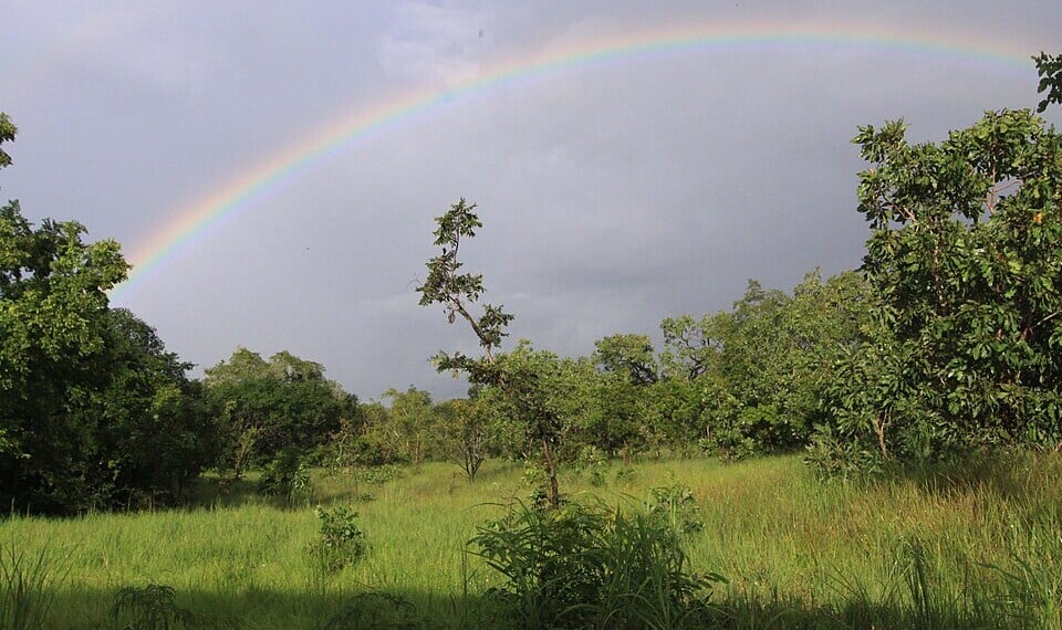 Comoé National Park