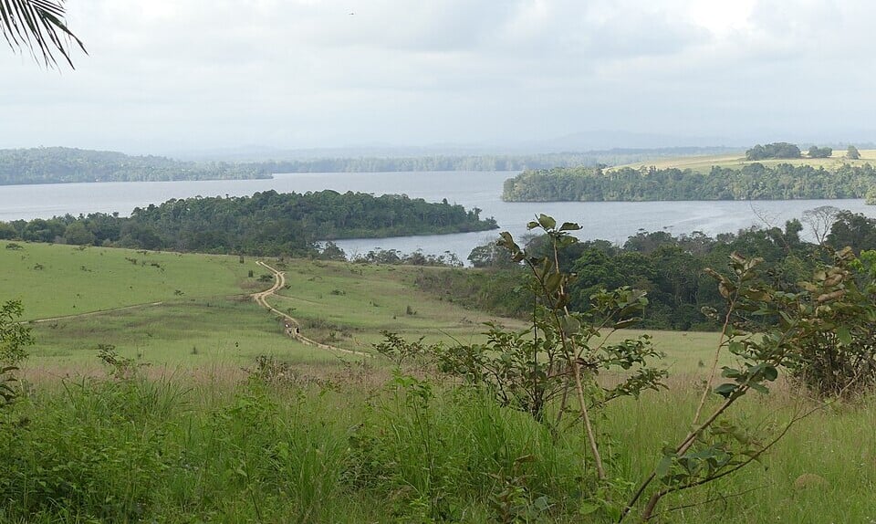 Conkouati-Douli National Park