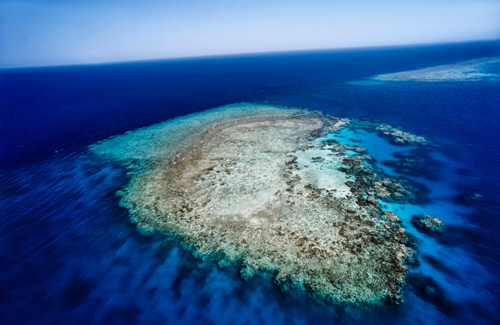 Shaab Suadi Reef in the Red Sea, Sudan