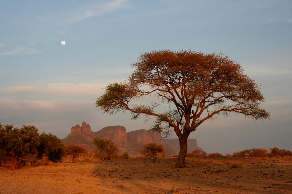 Desert landscape near the Hand of Fatima rock formation, Mali