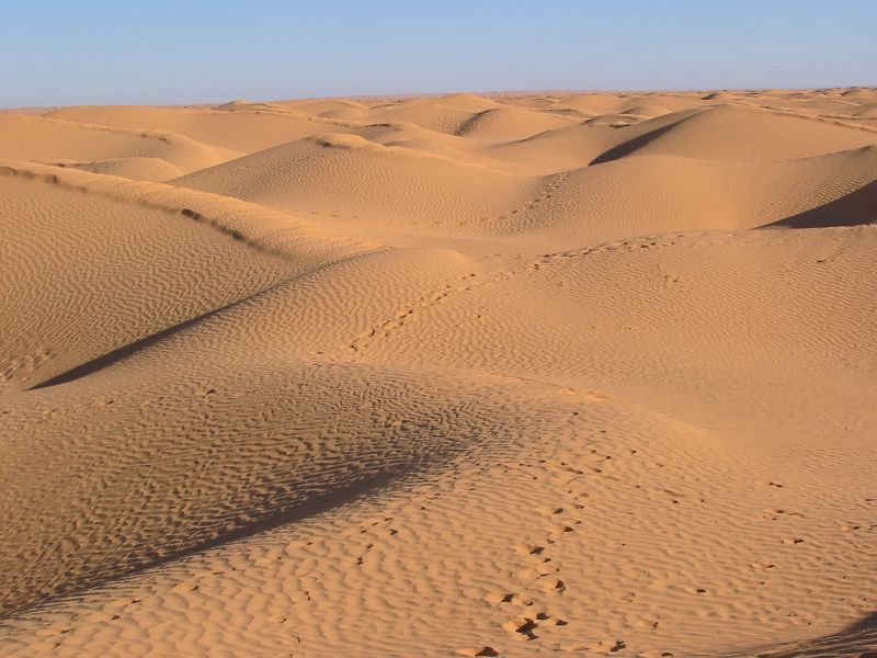 Grand Erg Oriental, Tunisian Sahara
