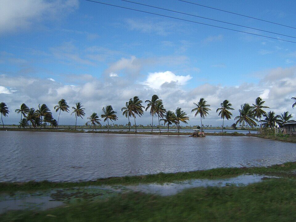Tractor in rice field in Guyana