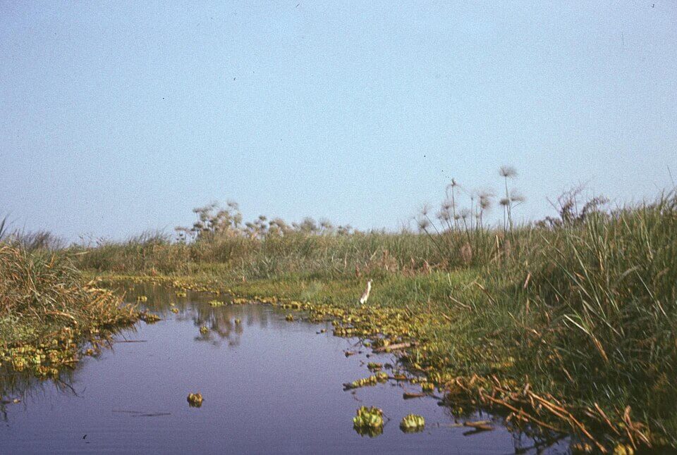 Lake Chad