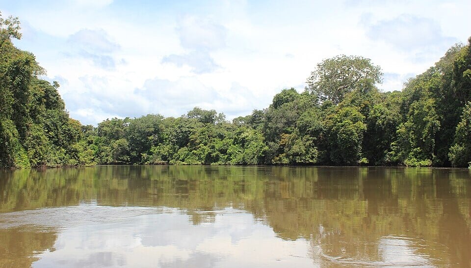 Little Scarcies River, Outamba Kilimi Park