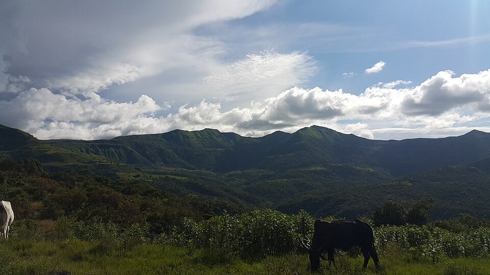 Mambilla Plateau, Nigeria