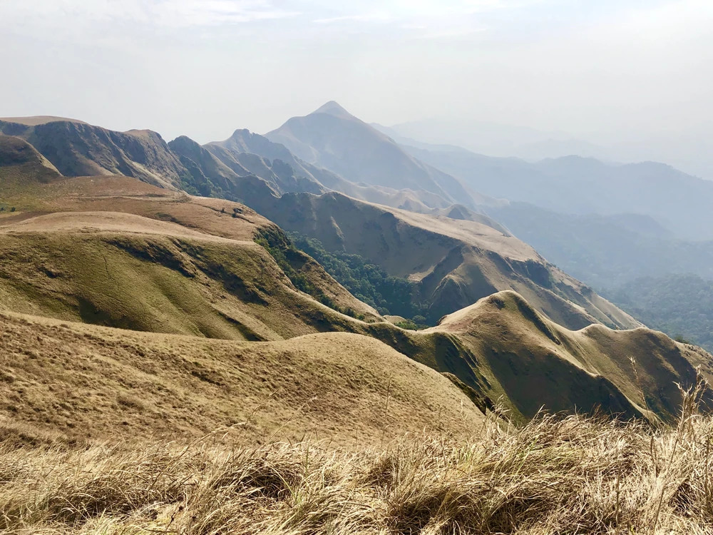 Mount Nimba