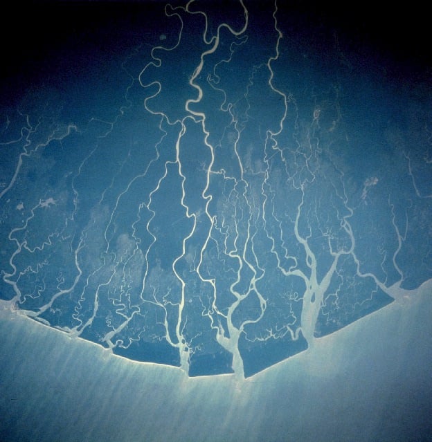 Niger Delta from space