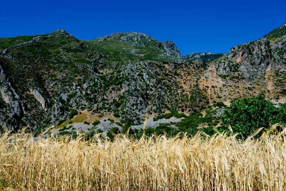 Rif Mountains, Morocco