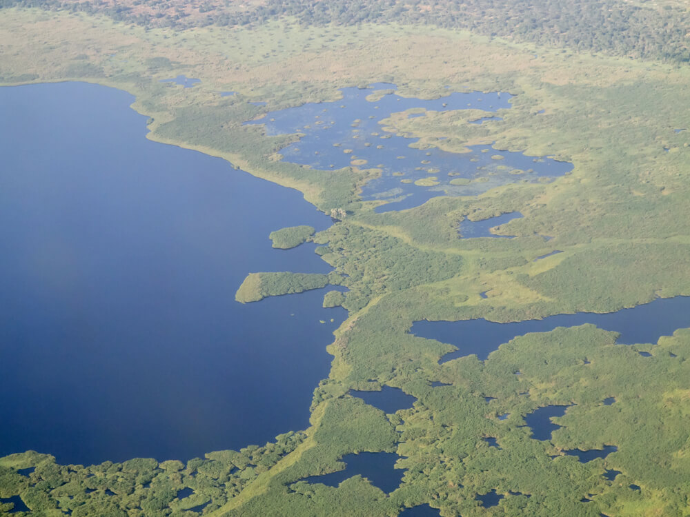Sudd region in South Sudan