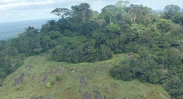 Taï National Park
