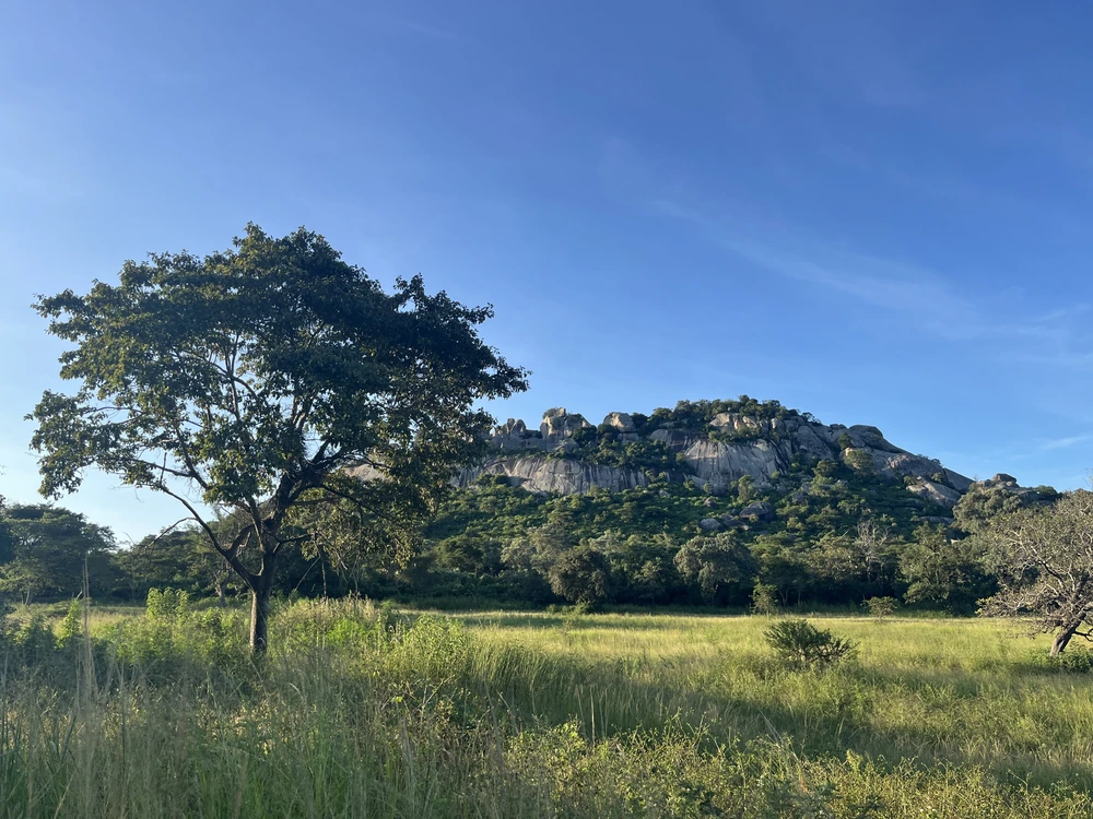 Zimbabwe National Monument
