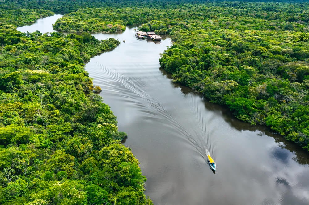 Amazon Rainforest, Peru