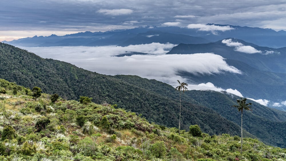 Sierra Nevada de Santa Marta